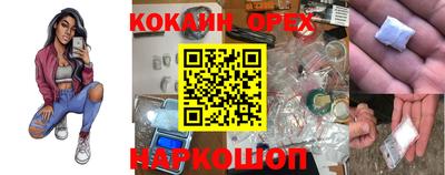 индика Гай