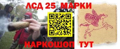 индика Гай