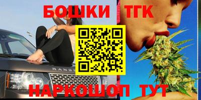 гидра Гатчина