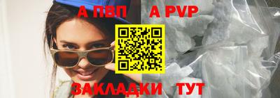 индика Гай