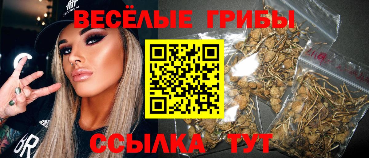 Галлюциногенные грибы прущие грибы  Галлюциногенные грибы MAGIC MUSHROOMS  где купить наркоту  Вход с VPN  Нурлат 